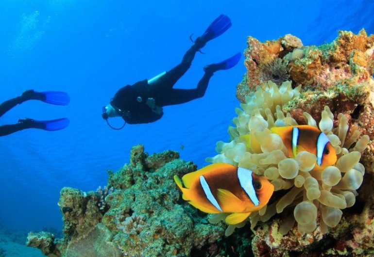 jumeirah-dhevanafushi-diving-hero