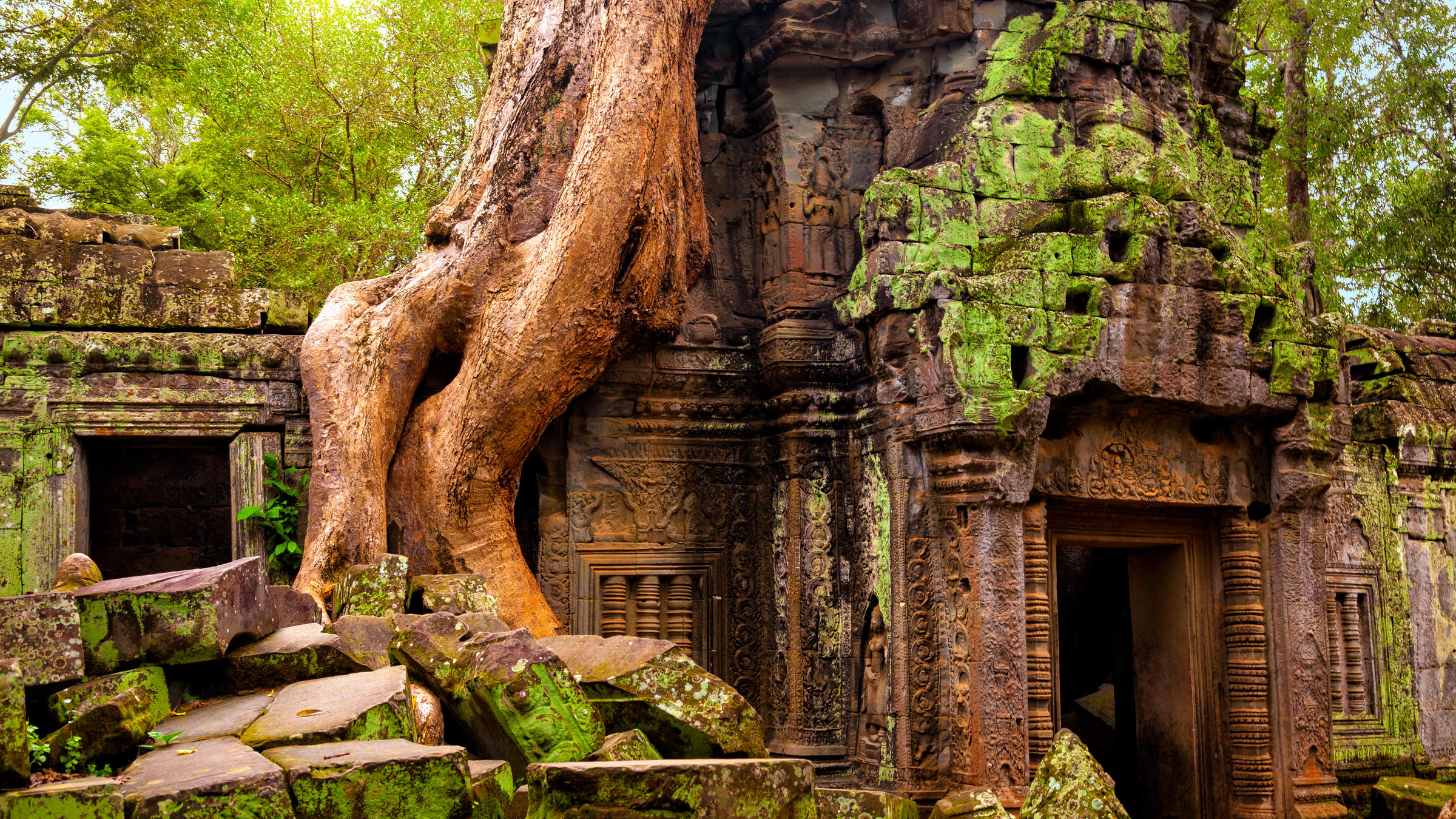 Ta,Prohm,Temple.,Ancient,Khmer,Architecture,Under,The,Giant,Roots